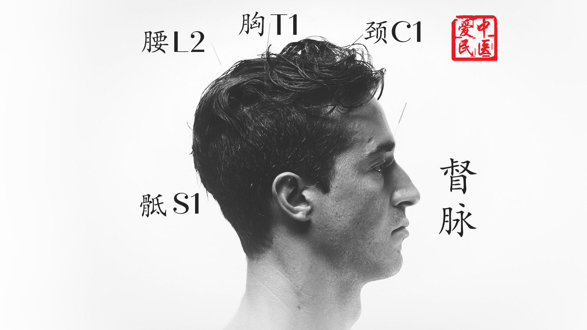 TCM Consultation