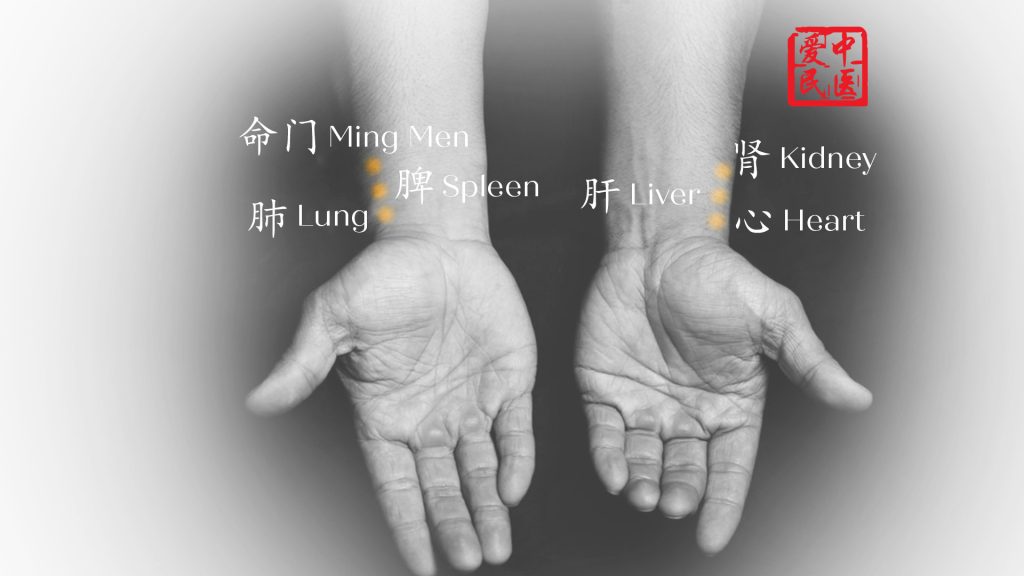 TCM consultation