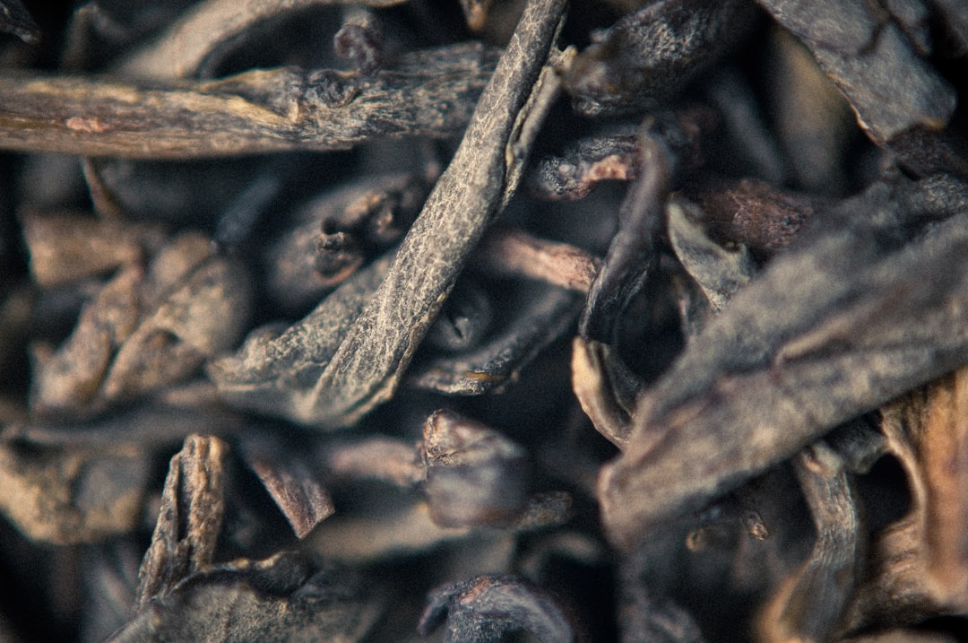Close-up view of dried Chinese medicinal herbs