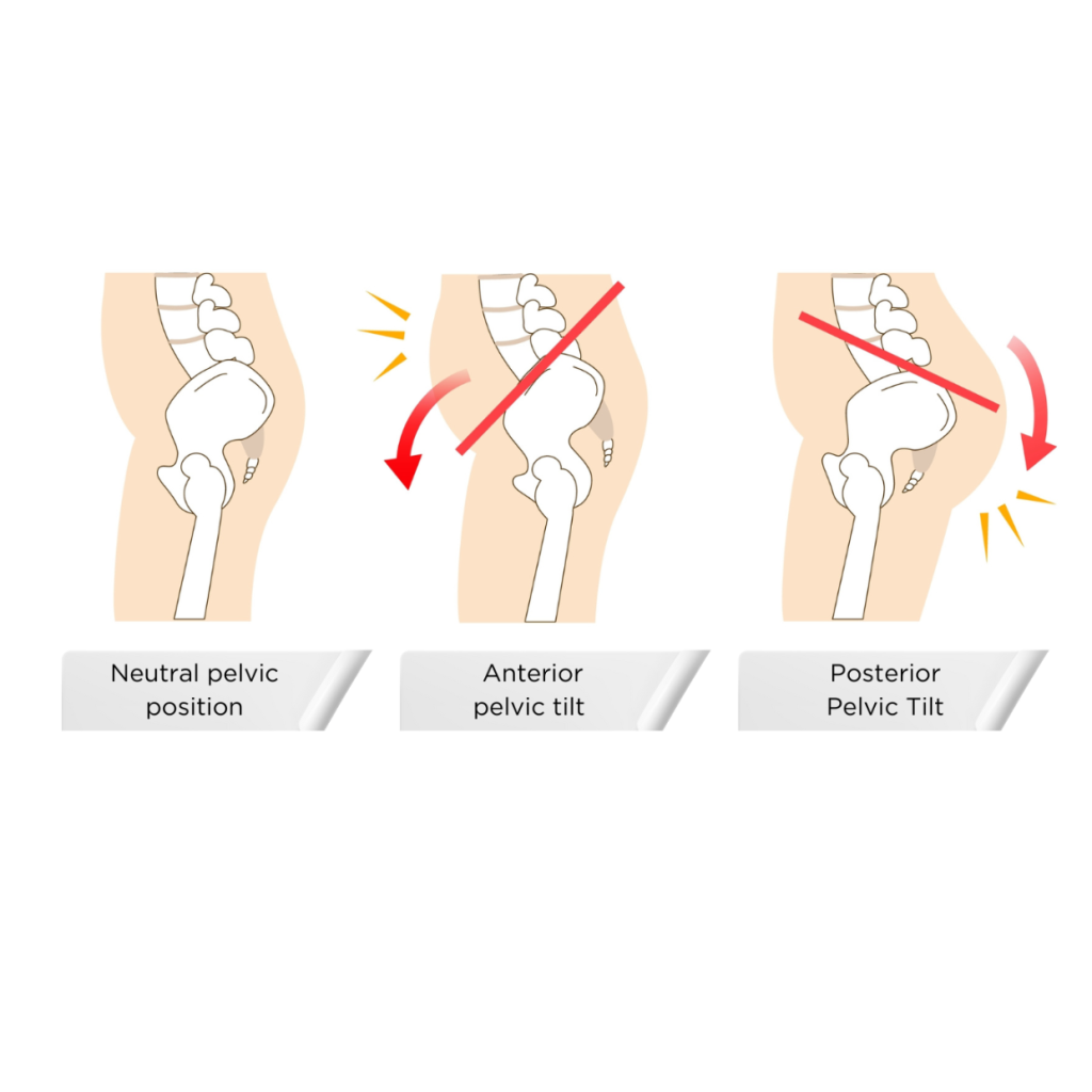 Position Pelvic tilts